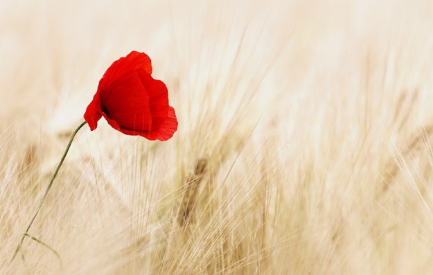 09-34-07-625_950x510